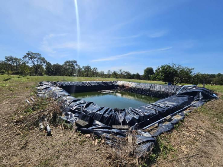 ขายสวนผลไม้ อำเภอขลุง  จันทบุรี พร้อมให้ผลผลิต 7