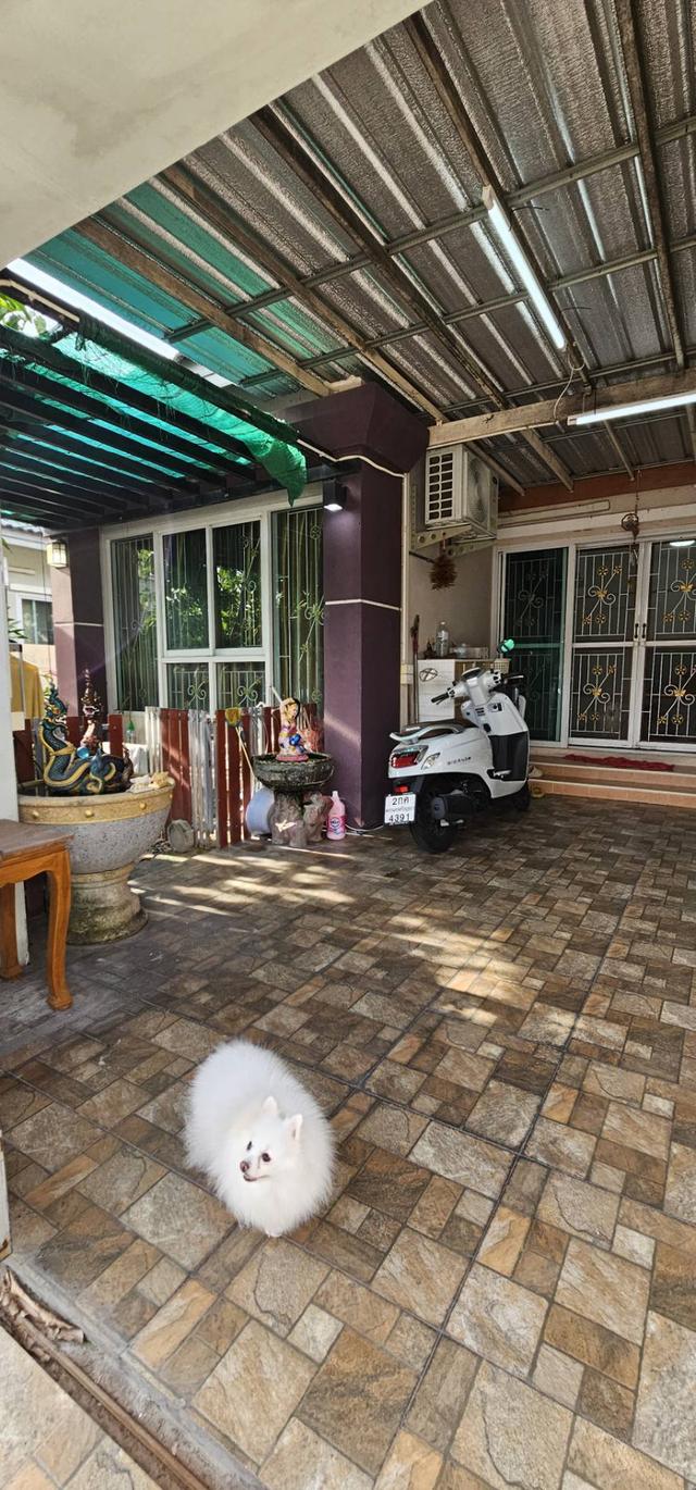 หมู่บ้านเฟอร์เฟคโฮม ถนนสายเอเชีย-โรจนะ นราวดี ซิตี้พาร์ค 8