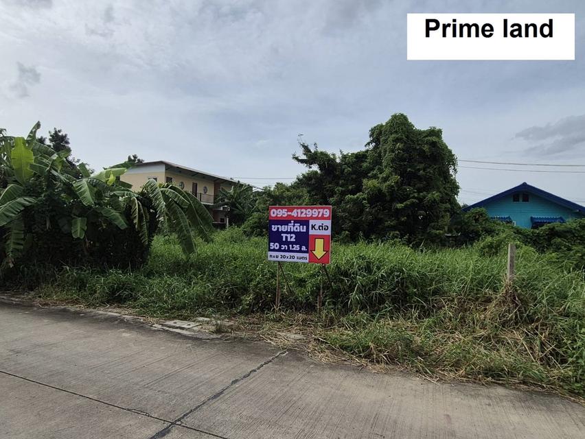ขายที่ดิน พหลโยธิน 54/1แยก8-4-3 ซอยตาลเดี่ยว 50 วาแปลงสวย ซอย2 คอนกรีตแปลงสุด ท้าย ทิศใต้ด่วน 1.25 ล้านบาทสุดท้าย หรือคุณจะเข้าสายไหมซอย 6 ก10ม ย20ม. 3