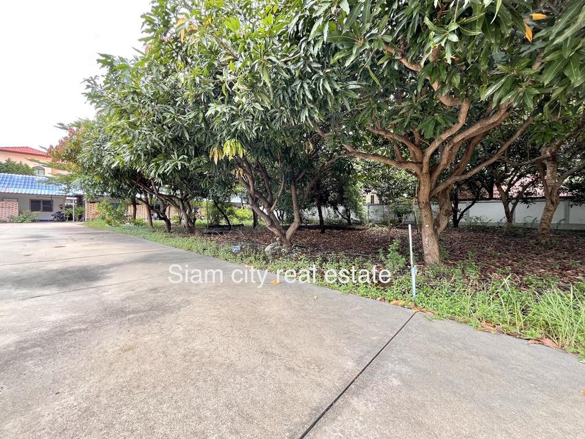 ขายที่ดิน พร้อมสิ่งปลูกสร้าง เป็นสำนักงาน และโกดังสินค้า พร้อมบ้านพักพนักงาน ครบ จบในที่เดียว 16