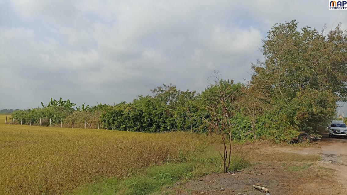 ที่ดินเปล่า 1 ไร่ ใกล้ถนนคลอง 13 หนองจอก ใกล้ชุมชน วัดแสนเกษม 3