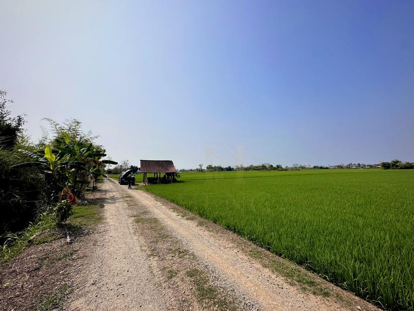 ขายที่ดินเปล่า ผังสีชมพู พื้นที่ 18 ไร่เศษ ต.ริมกก อ.เมือง จ.เชียงราย 2