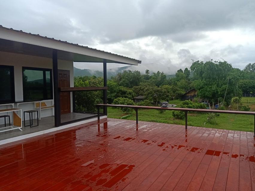 บ้านในสวนว่างให้เช่า 19