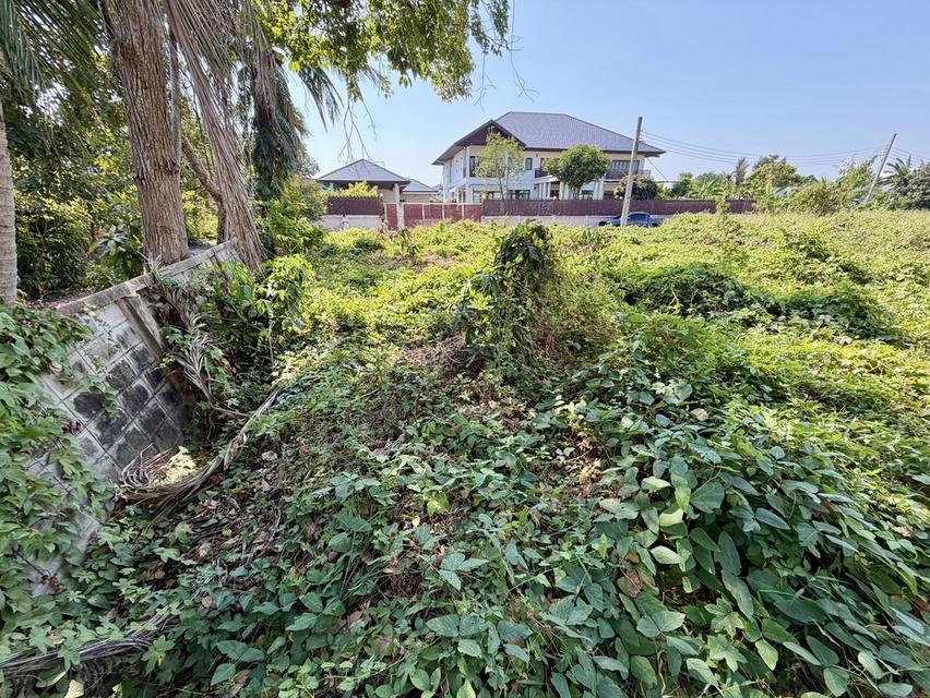 ขายที่ดินเปล่า ขนาด 105 ตร.ว. ซ.แก้วเงินทอง 40/1 ตลิ่งชัน เดินทางสะดวก ใกล้แหล่งชุมชน 7