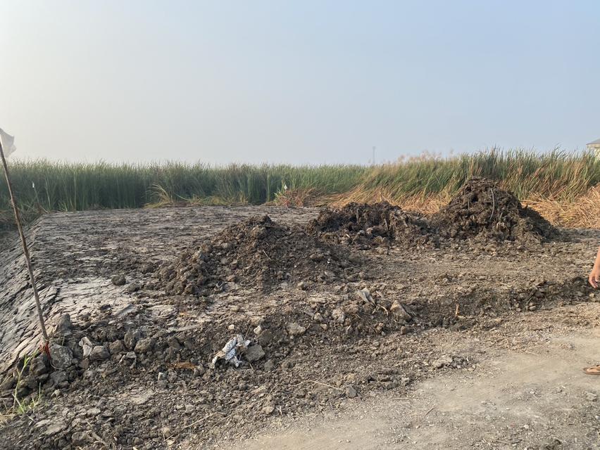 ขายที่ดินเปล่า เหมาะกับการทำธุรกิจ 6