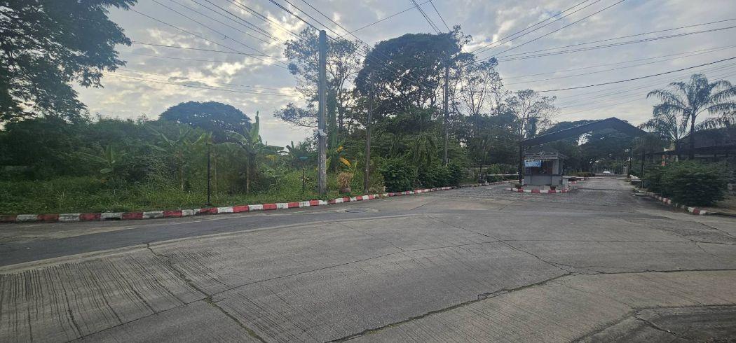 ขาย ที่ดิน ซอย1หมู่บ้านรวมเก้า 236 ตร.วา พุทธมณฑลสาย2 ซอย11 บางแค กทม 6