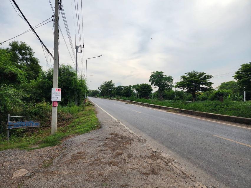 ขาย ที่ดินราคาถูก จ.ปทุมฯ อ.หนองเสือ ต.บึงกาสาม ขนาด 100 ตรว. 1