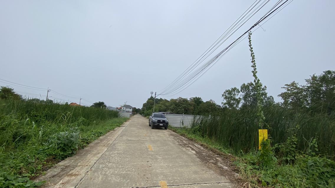 ขายด่วนที่ดินคลองสอง 183 ตรวติดถนนคอนกรีตสาธารณะ ซ.ไอยรา 22 อ.คลองหลวง จ.ปทุมธานี 5