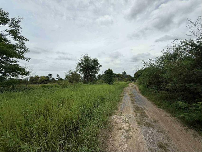 ที่ดิน จังหวัดสระบุรี