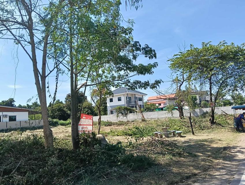 ที่ดินทำเลดีในอำเภอชุมแพ 6