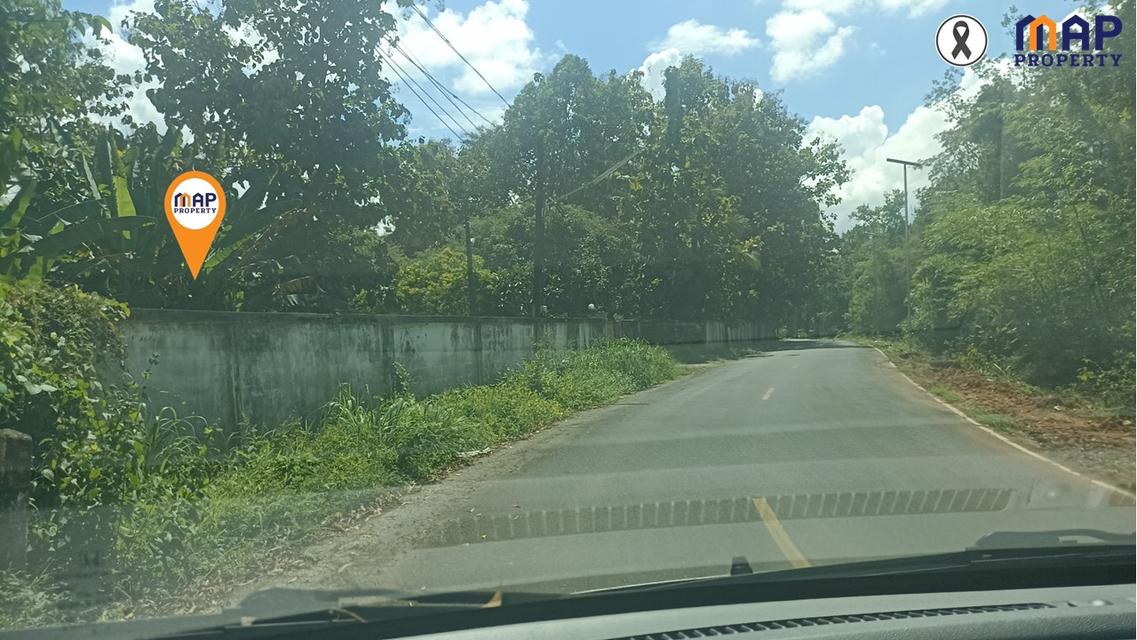 ขายที่ดินแปลงใหญ่ ใกล้เชิงเขา 65 ไร่ นครนายก 6