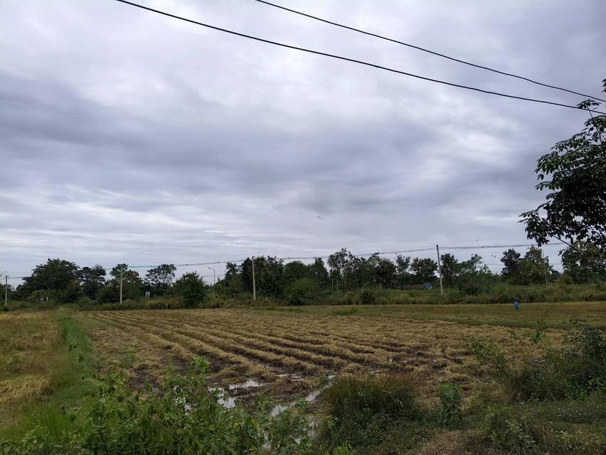 ขายที่นาติดถนนหลวงหมายเลข24 โชคชัย-เดชอุดม อ.เบญจลักษ์ จ.ศรีสะเกษ จำนวณ15ไร่1งาน38ตรว. ราคาไร่ละ1.2ล.