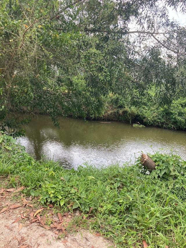 ที่ดิน 9ไร่ 1งาน 98ตารางวา หาดใหญ่ 6