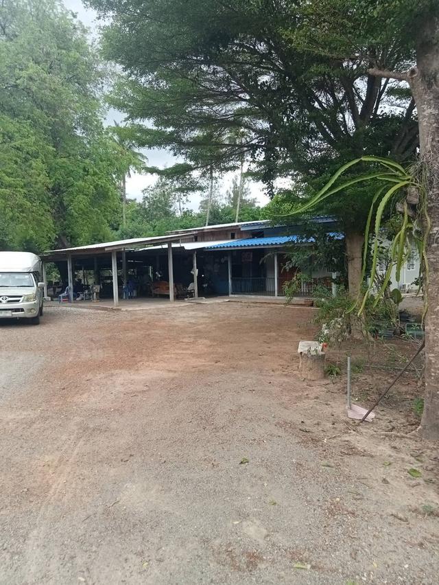 ขายที่ดินพร้อมบ้าน2หลัง 1ไร่95ตรว. ใกล้มหาวิทยาลัยราชภัฐหมู่บ้านจอมบึง ราชบุรี ด่วนมาก 2ล้านบาท 7