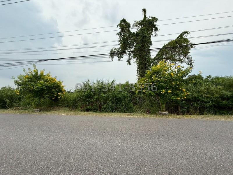 ขายที่ดิน 3 แปลงติดกัน 16 ไร่ ริมถนน ใกล้วัดหลวงพ่อโสธร ตรงข้ามหมู่บ้านมารวย ฉะเชิงเทรา การเดินทางสะดวกใกล้แหล่งชุมชน 3