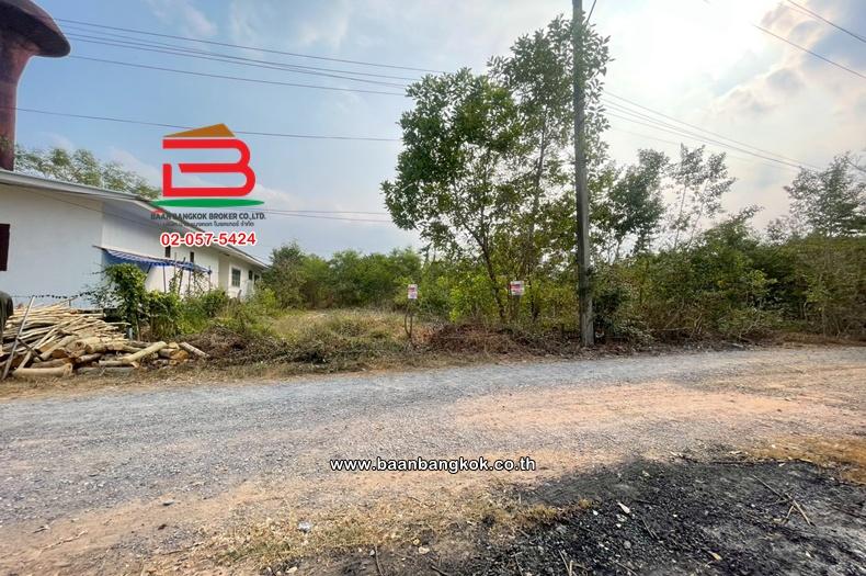 ที่ดินเปล่า เนื้อที่ 57 ตร.ว. ซอยอยู่รวยแลนด์ ถนนรังสิต-นครนายก ตำบลหนองสามวัง อำเภอหนองเสือ ปทุมธานี 1