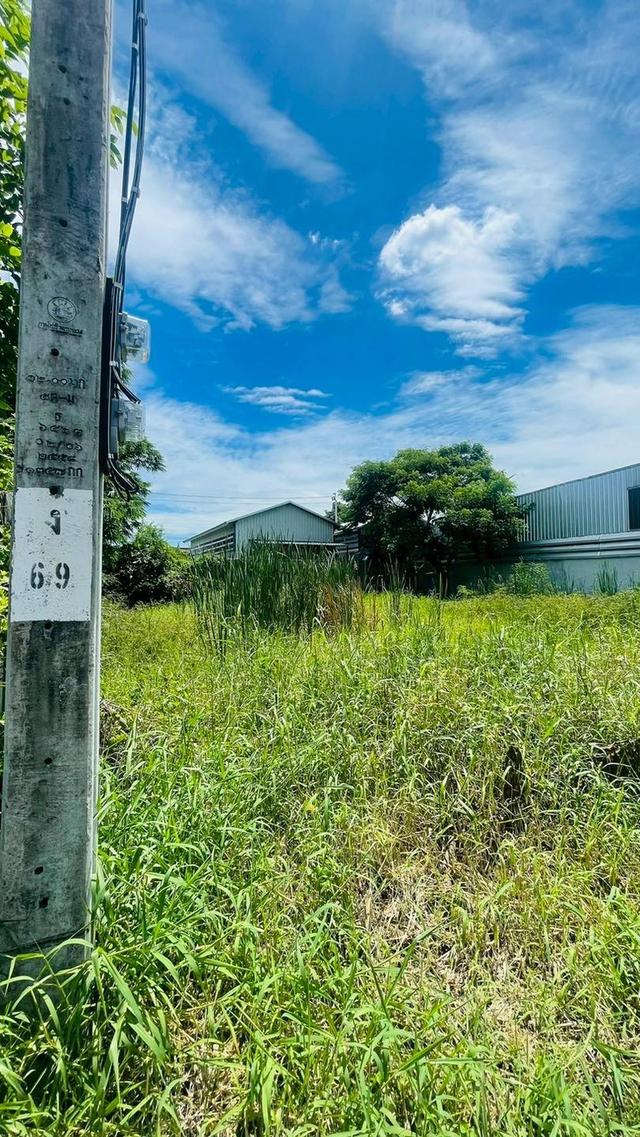 ขายที่ดินร่มเกล้า (ซอยร่มเกล้า 17 แยก 6) 3