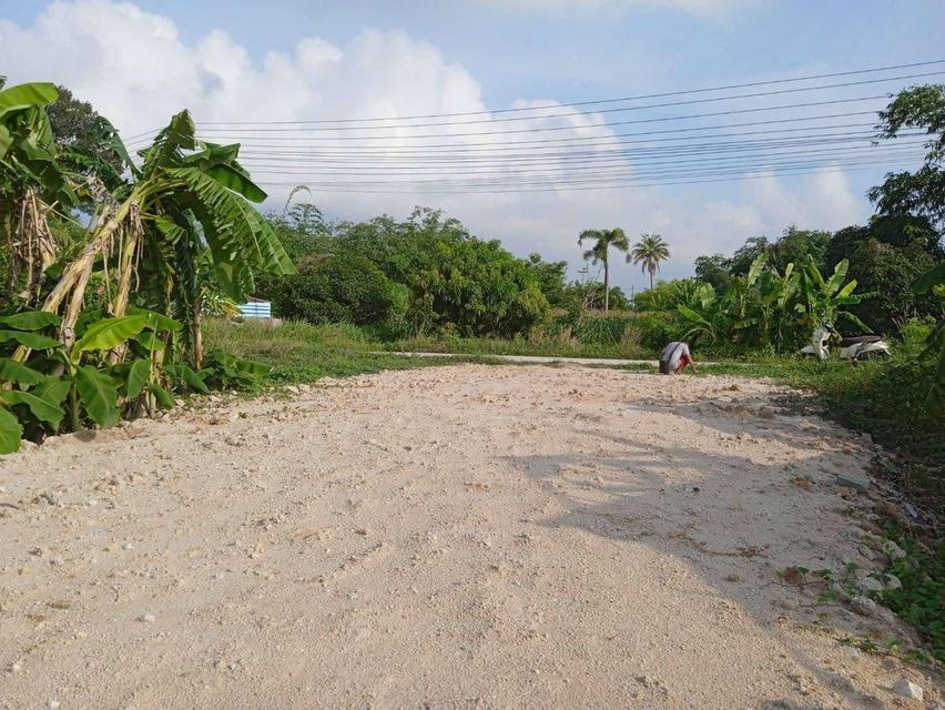ขายที่ดินห้วยใหญ่ พัทยา 201 ตรว. ถมแล้วใกล้หาดจอมเทียน6กม. อ.บางละมุง ชลบุรี