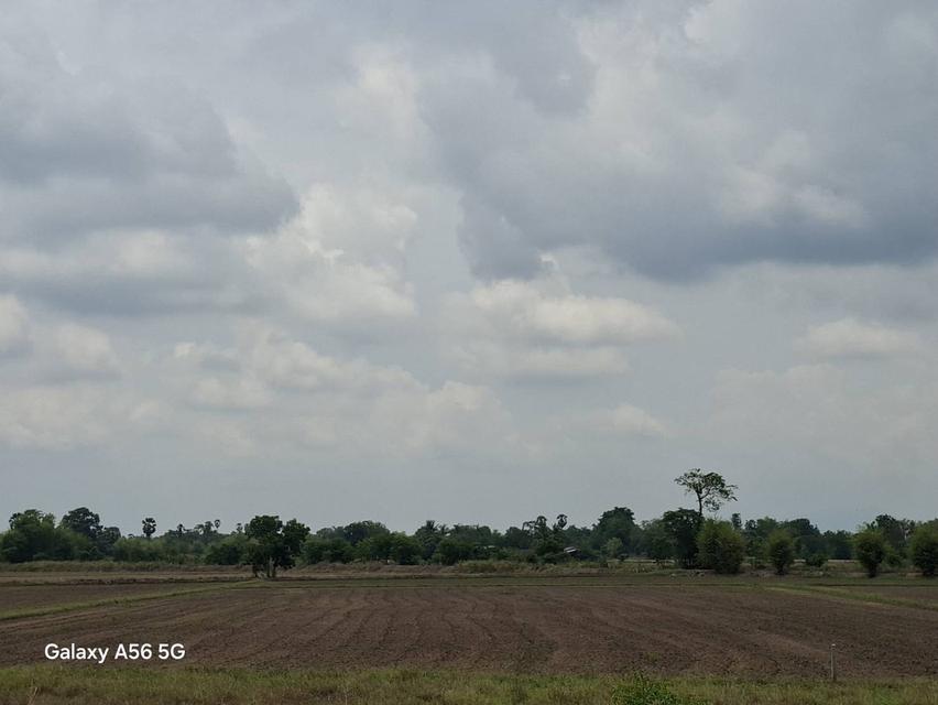 ขายที่ดิน 31 ไร่ 322 ตร.วา ติดถนนใหญ่ หนองขาหย่าง อุทัยธานี ผังเมืองสีชมพู 2