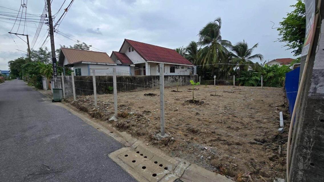 ขายที่ดินใกล้ม.กรุงเทพธนบุรี 61 ตรว ติดถนนสาธารณะ ถมแล้ว+ล้อมรั้วลวดหนาม ซ.ทวีวัฒนา-กาญจนาภิเษก 22 ตลิ่งชัน กทม. 4