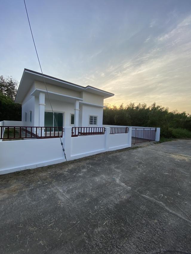 บ้านใหม่ชั้นเดียวเนื้อที่ 50 ตรว 3นอน 2น้ำ ครัว รับแขกกว้าง จอดรถ 2คัน ใกล้ถนนต้นยางแค่ 100เมตร 3