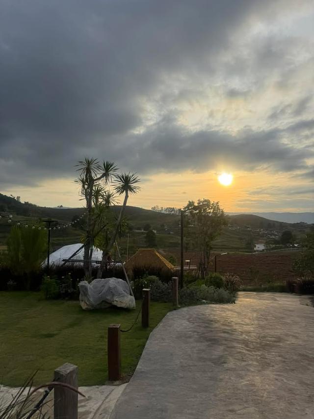 D Kanda Glamping วังน้ำเขียว  5 ไร่ 14 ล้าน 12