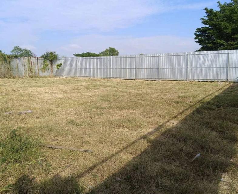 ขายที่ดินพลา 100 ตรว.ถมแล้วเทศบาล6ซอย13 หลังสนามกอล์ฟอีสเทิร์นสตาร์ ใกล้หาดพลา-3กม. อ.บ้านฉาง ระยอง 6