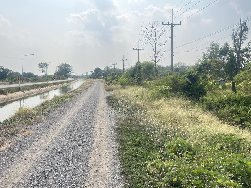 ขายที่ดินติดถนนดำ อ..เสาไห้ 5