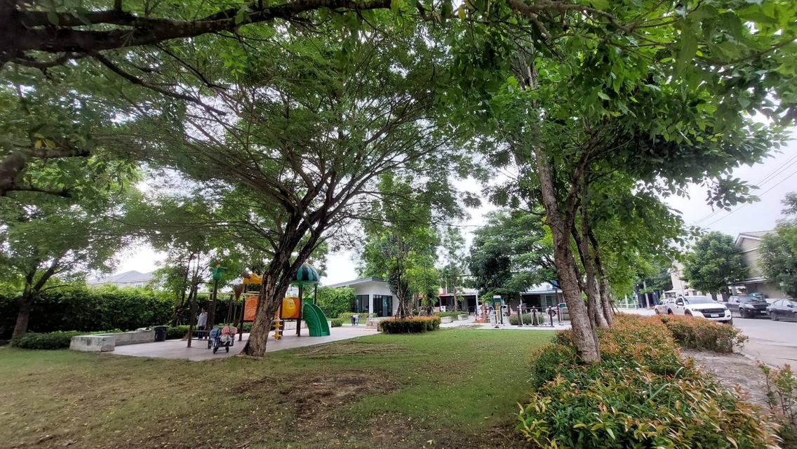 ขายหมู่บ้านพฤกษา130 หนองจอก-สุวินทวงศ์ ลดราคาเหลือ 1.55 ล้าน (N.715) 2