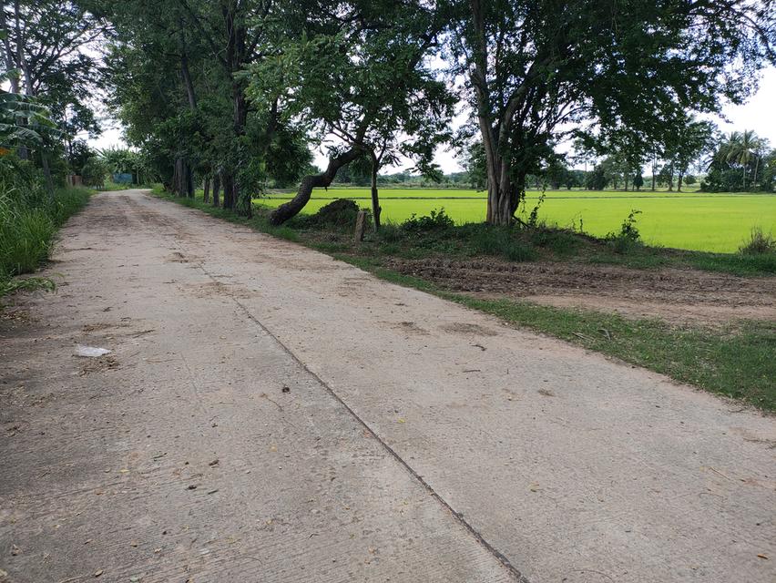 ที่ดินเจ้าของขายเอง จำนวน 15 ไร่ 2 งาน 3