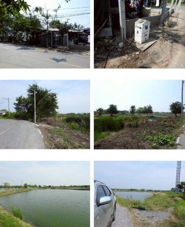 ขายที่ดิน 69 ไร่ 2 งาน 61.7 ตร.ว. อ.พานทอง ใกล้ถนนหมายเลข 3127 และ อบต.เกาะลอย 5
