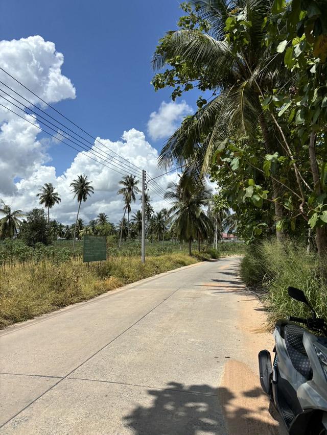 ที่ดินราคาสวยบางละมุง น้ำไฟ ถนนคอนกรีต 6