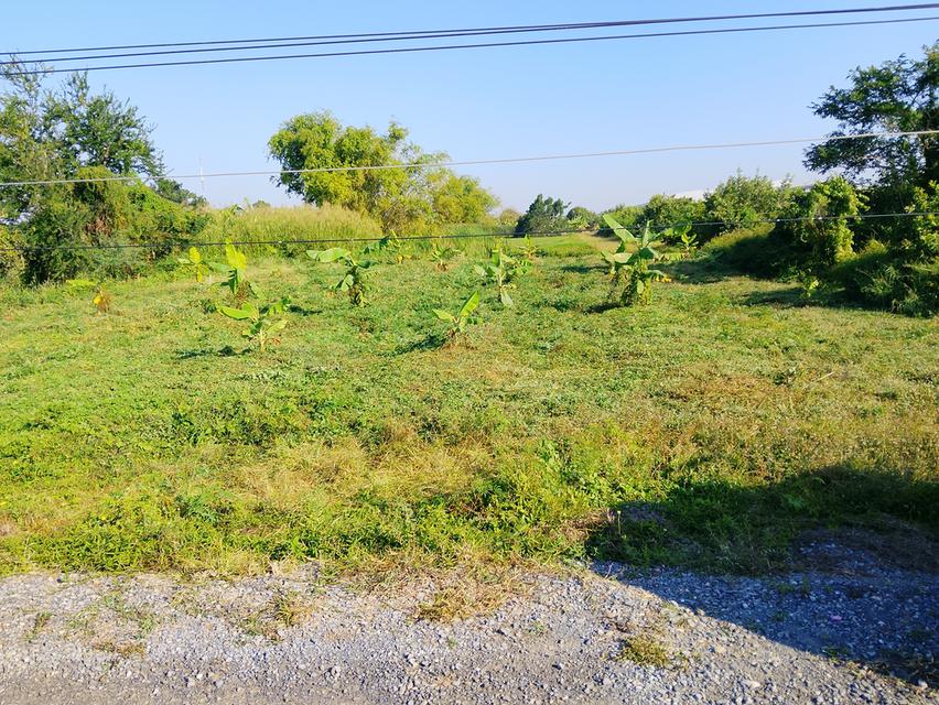 ที่ดินว่างเปล่า 5 ไร่ 1,200,0000 บาท 1