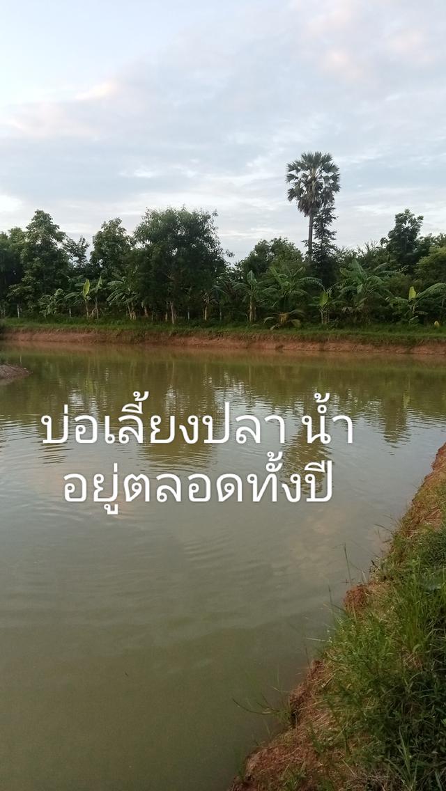 ทีดินพร้อมบ้านพัก ขนาด 3 ไร่ 6