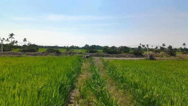ขายที่ดิน เเบ่งเเปลงขาย ใกล้ตัวเมืองสุพรรณ น้ำไฟ พร้อม 6