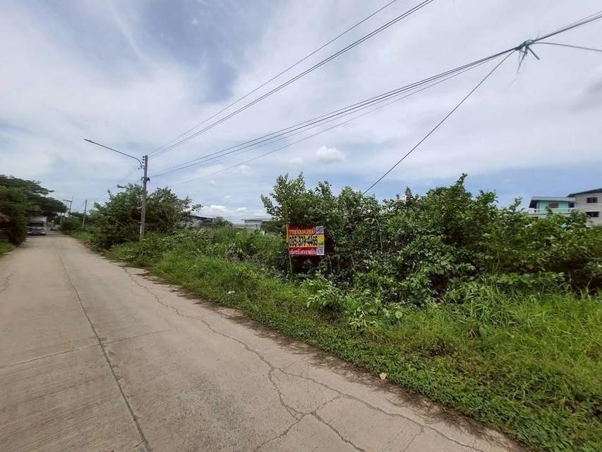 ขายด่วนที่ดินใกล้ตลาดไท 403 ตารางวา ติดถนนคอนกรีตสาธารณะ 2 ด้าน ไอยรา 18,19 อ.คลองหลวง จ.ปทุมธานี 6