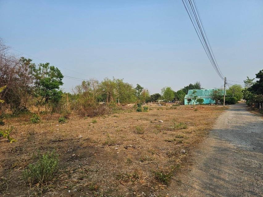 ขายที่ดินแปลงสวย ถูกสุดในย่าน 2 ไร่ 2 งาน 97 ตารางวา อำเภอดอยหล่อ จังหวัดเชียงใหม่ 5