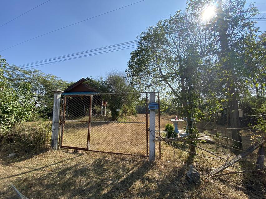 ขายบ้านพร้อมที่ดินด่วน(ติดจำนอง) 4