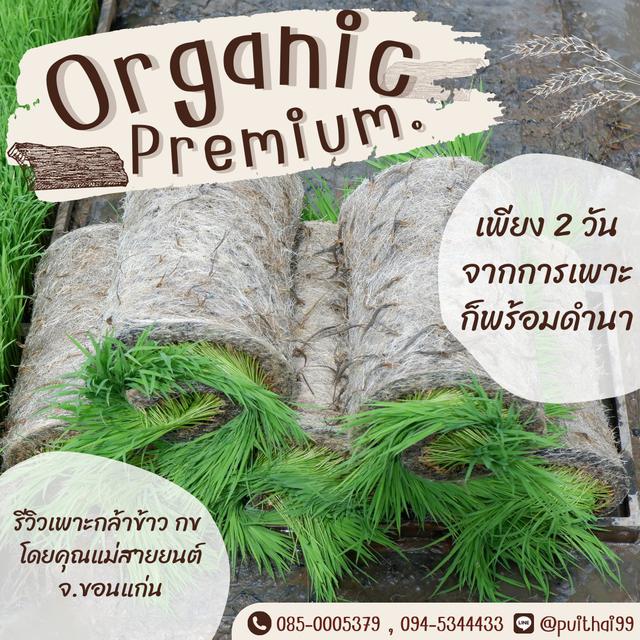 สารปรับปรุงดิน Organic premium  3