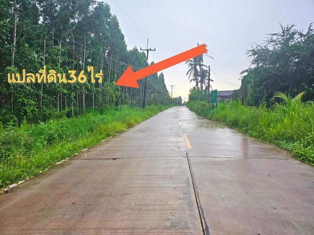 ขายที่ดินพร้อมสิ่งปลูกสร้างชลบุรีราคาถูก ที่ดินหนองอิรุณบ้านบึงชลบุรี ผังสีเหลืองeec บนเนื้อที่ 36 ไร่ (รวมสิ่งปลูกสร้าง 3