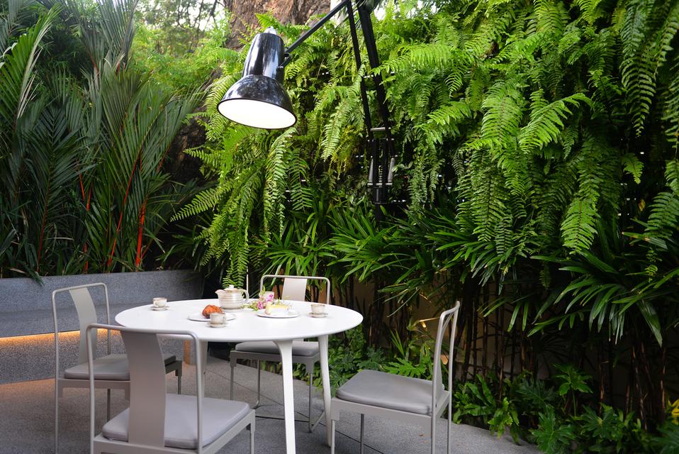 ให้เช่า Private Penthouse “Tree Villa Bangkok” วิลล่าท่ามกลางธรรมชาติ ใจกลางกรุงเทพ 5