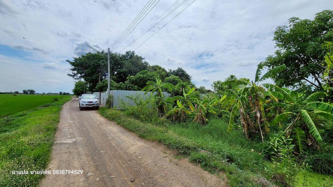 ที่ดิน 200 ตารางวา ติดถนนดิน ซอย คลองห้าตะวันตก 56 คลองหลวง ปทุมธานี 3