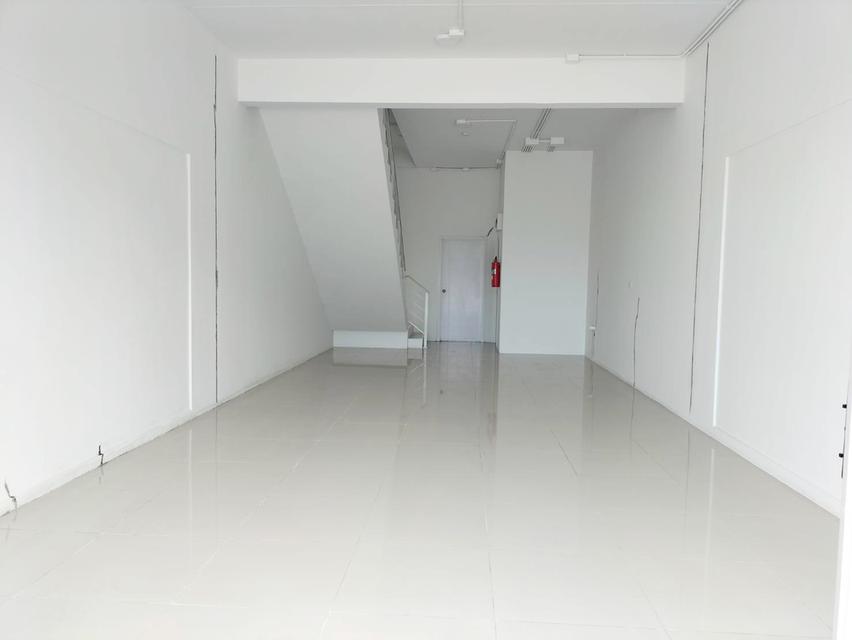 พฤกษาติวานนท์ 10