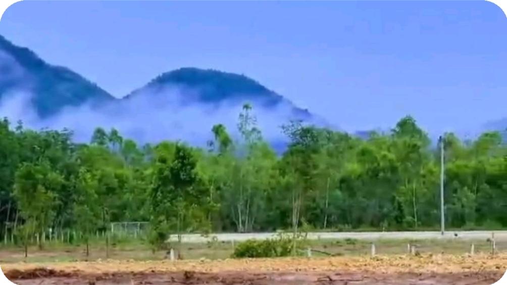 ที่ดิน 1ไร่ ราคาดีมาก กลัดหลวง ท่ายาง เพชรบุรี 9