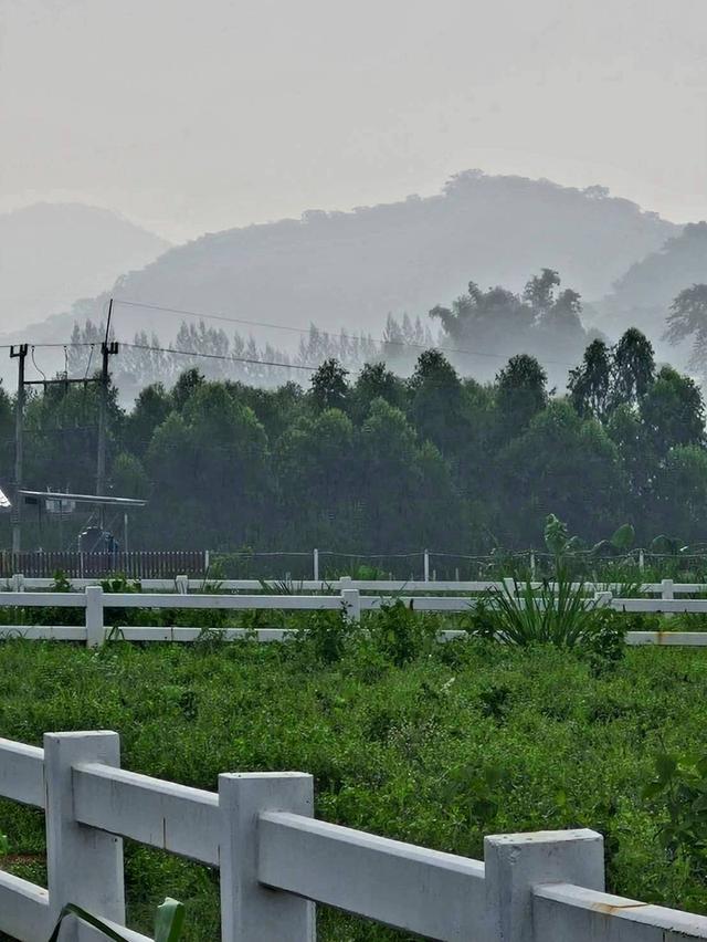 ที่ดินโฉนดครุฑแดงปากช่อง วิวสวย 7