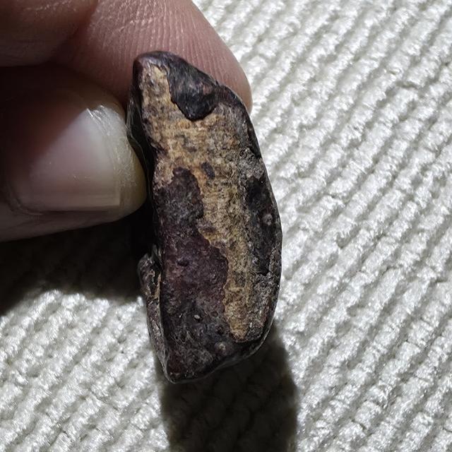 พระปิดตาหลวงพ่อแก้ว วัดเครือวัลย์ เนื้อผงคลุกรัก รูปย่อยที่ 3