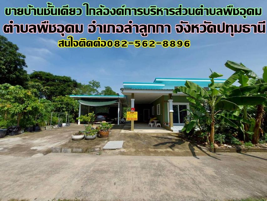 ขายบ้านชั้นเดียว ใกล้องค์การบริหารส่วนตำบลพืชอุดม 1