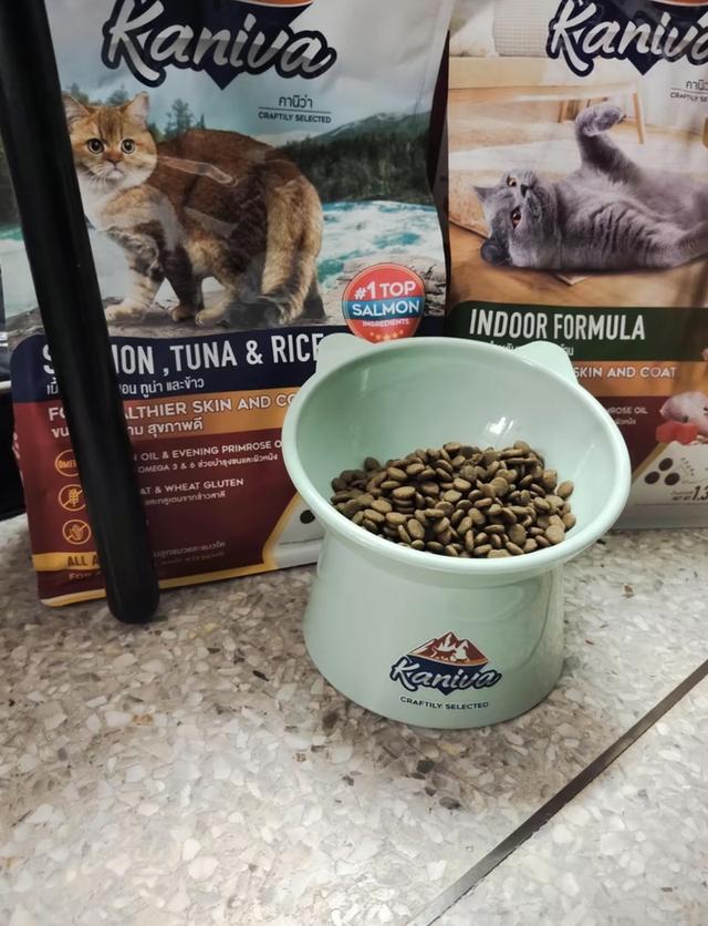 อาหารแมวพร้อมขาย