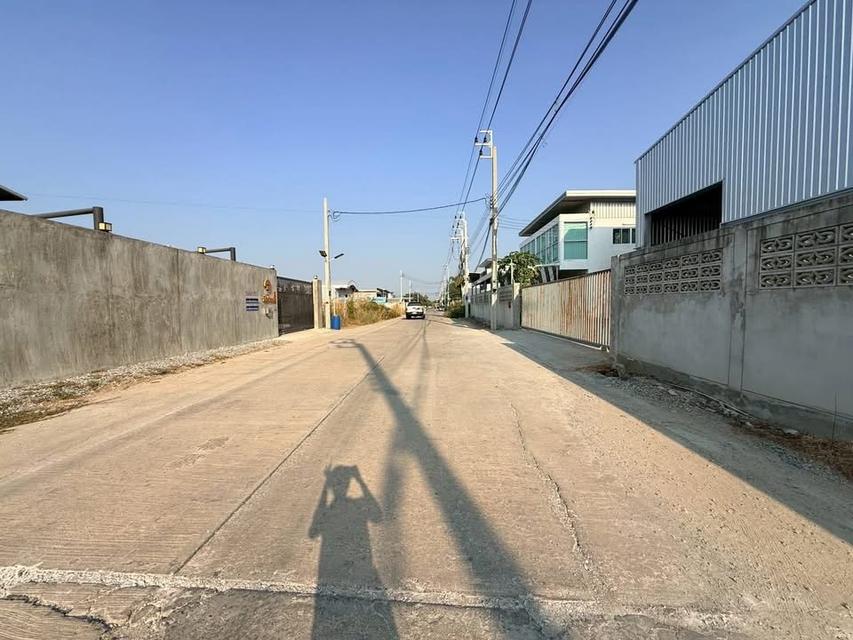 ขายด่วน!! ที่ดิน 200 ตารางวา) ( ถนน 340 ชอยปิ่นทองแองแลนด์ ไทรน้อย นนทบุรี 4