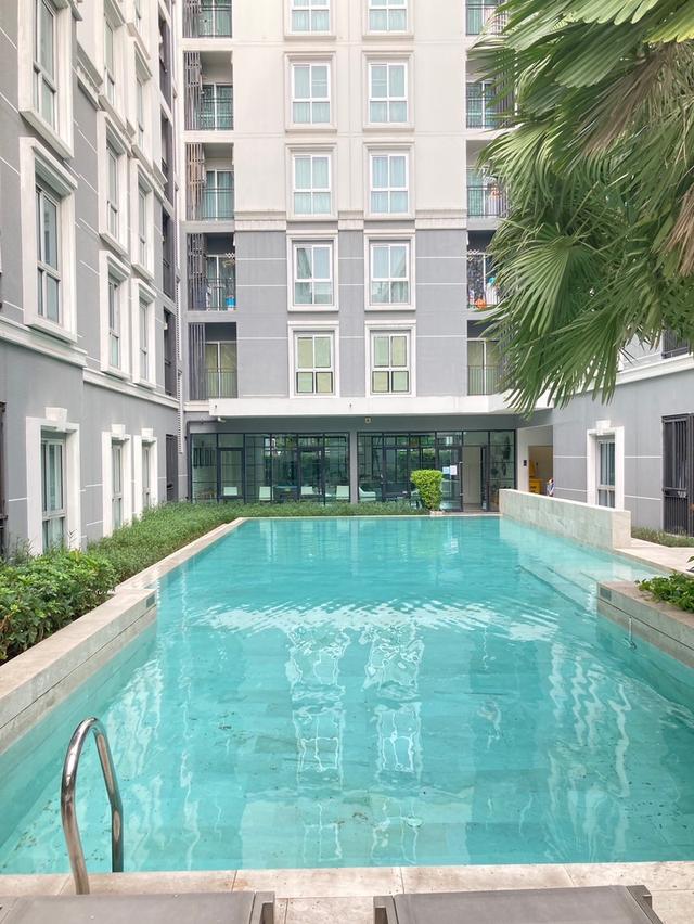#ขายพลัมคอนโดแจ้งวัฒนะ เฟส 2 ตึก A ชั้น 8 ขนาด 23 ตรม. ห้องแต่งสวยครบ พร้อมเข้าอยู่ (รหัสทรัพย์:0104) 7